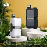 Disposable electronic C D33