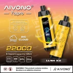 Screen display atomizer FAT PRO 22000PUFFS